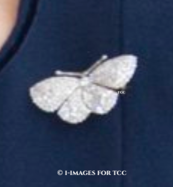 Diamond moth