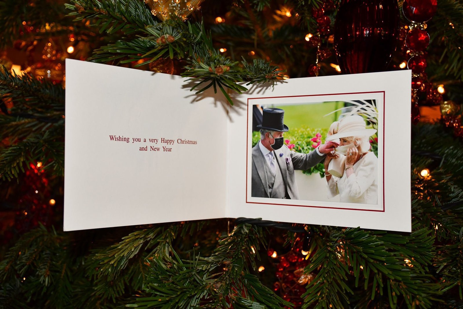 Charles and Camilla's 2021 Christmas card. (Royal Family)