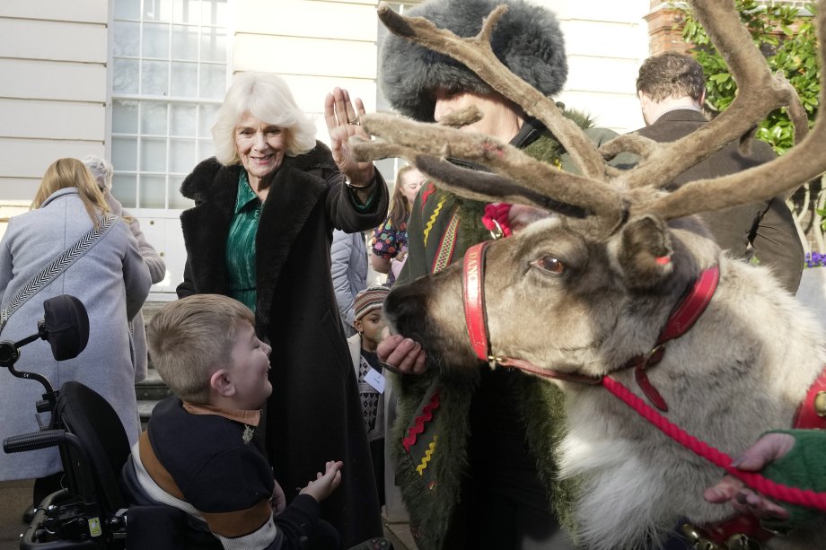 Queen Camilla welcomes reindeer as part of the festive tradition.