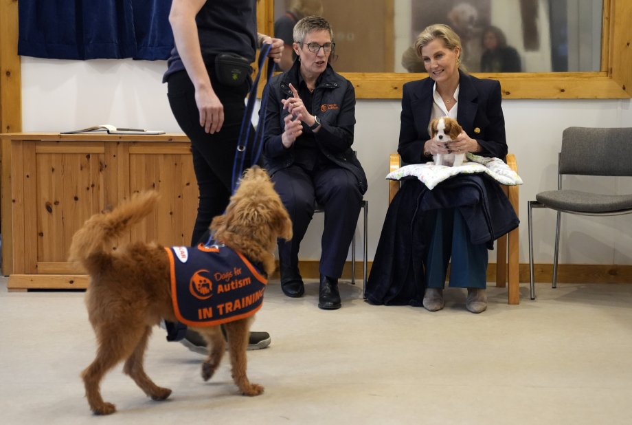 The Duchess of Edinburgh looked comfortable with Louis on her lap as she watched some demonstrations. (Royal Family)