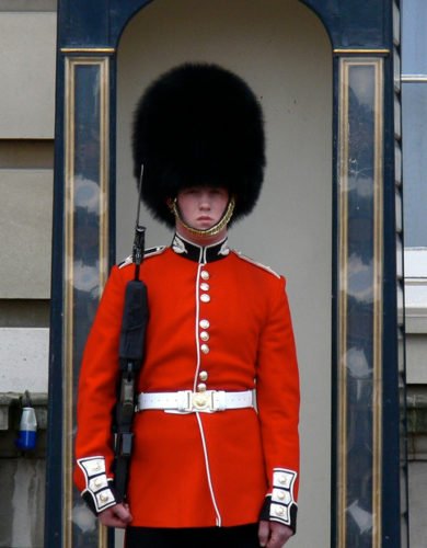 Spot the difference: the Household Divisions' uniforms • The Crown ...