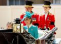 Catherine’s Jewellery: Irish Guards Regimental Brooch