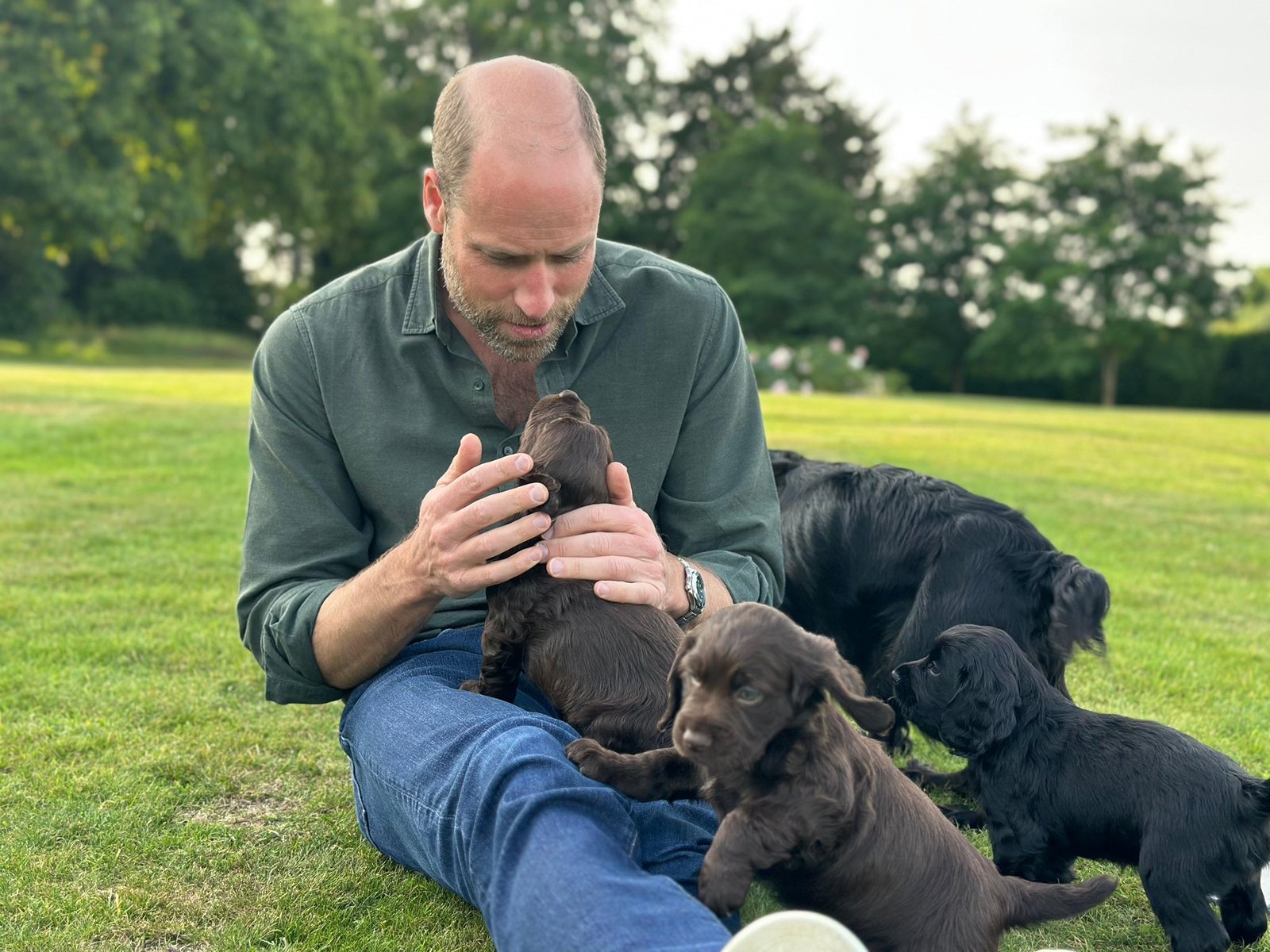 Prince William with Orla and her four puppies. (Royal Family)