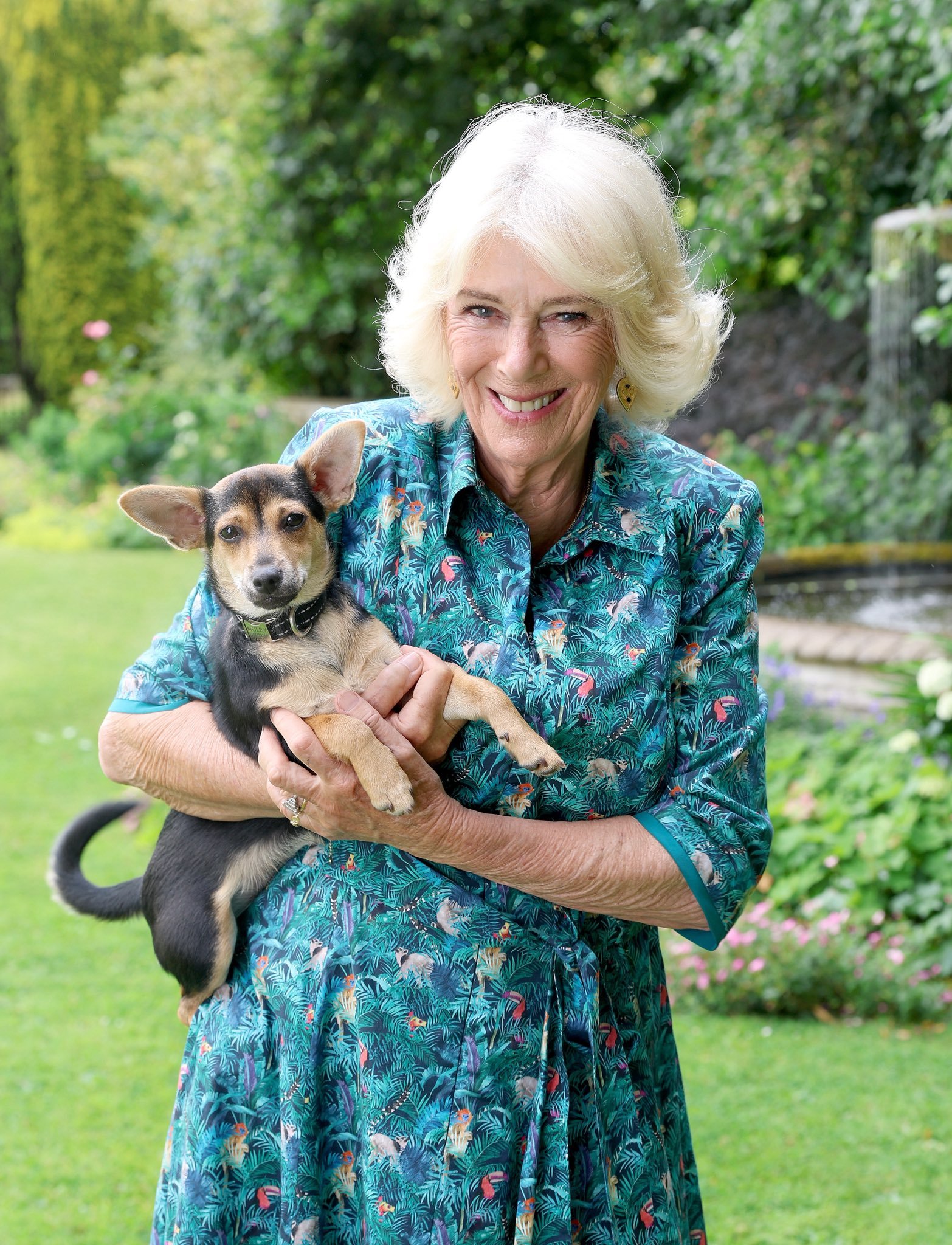 A new photograph of Queen Camilla with Moley. (Royal Family)