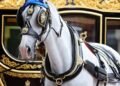 Buckingham Palace shared a new photograph of Tyrone on their social media pages. (Royal Family)