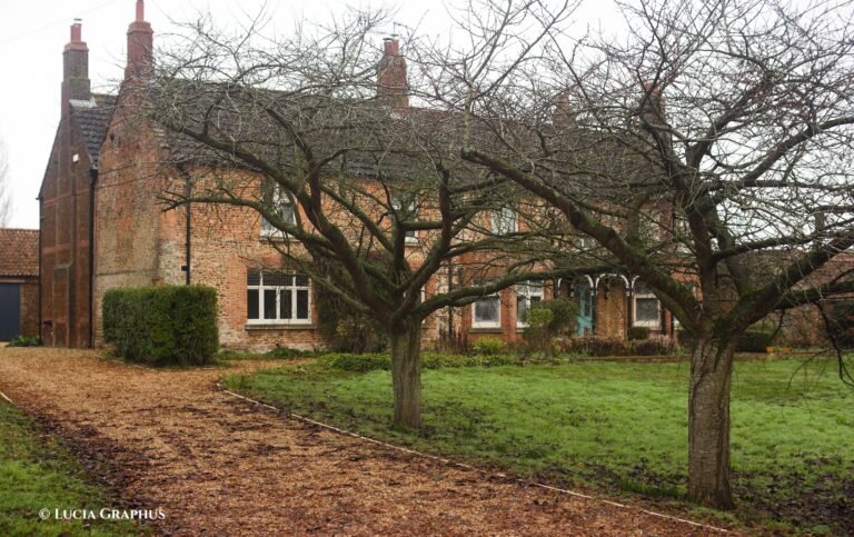 New photos of Andrew Mountbatten-Windsor in Epstein Files – Kier Starmer says he should testify