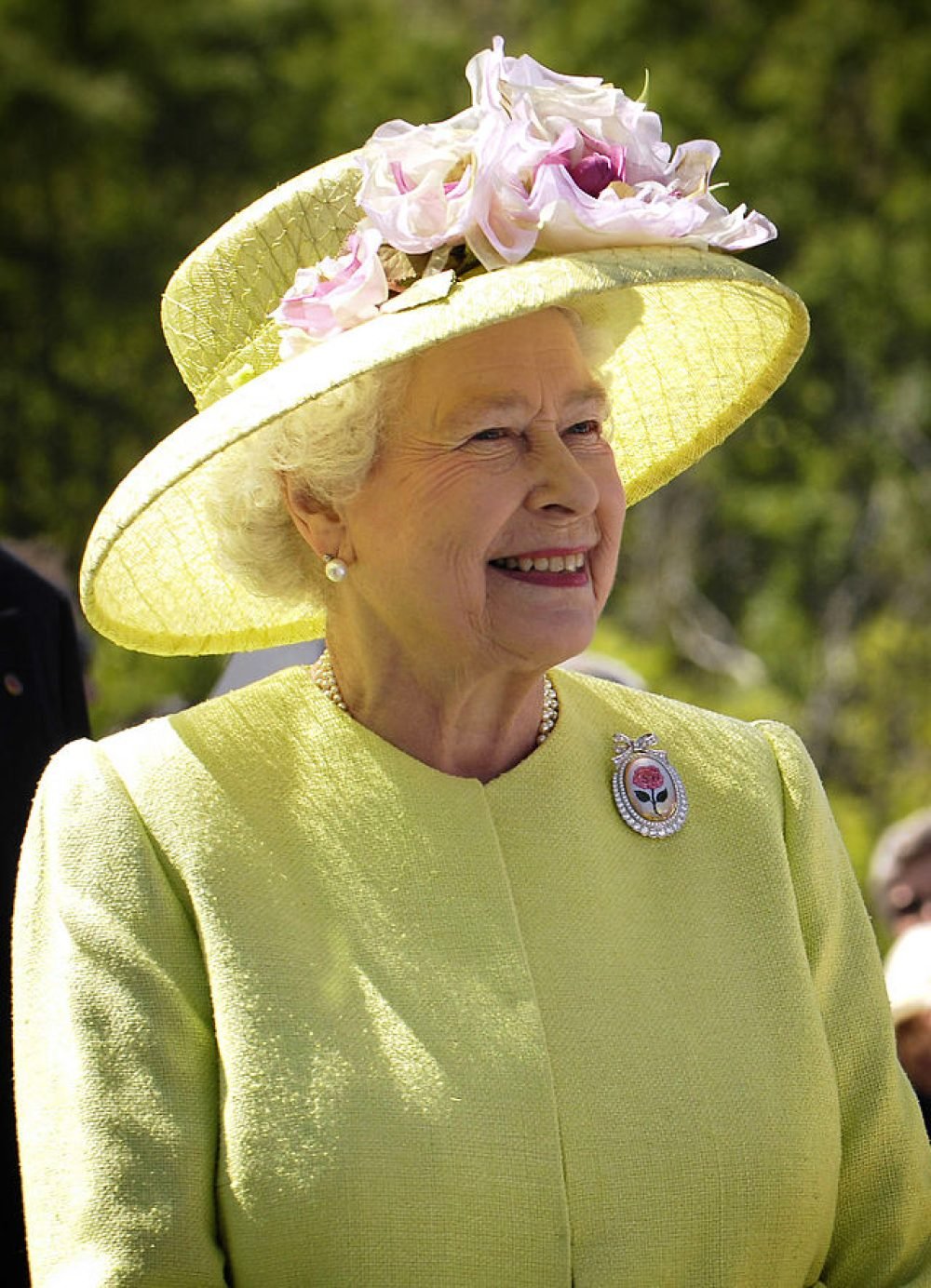 queen NASA (public domain)