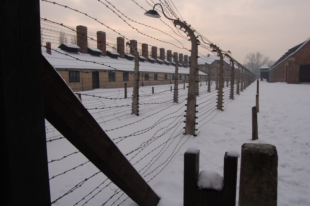 Auschwitz - Fernando Martín