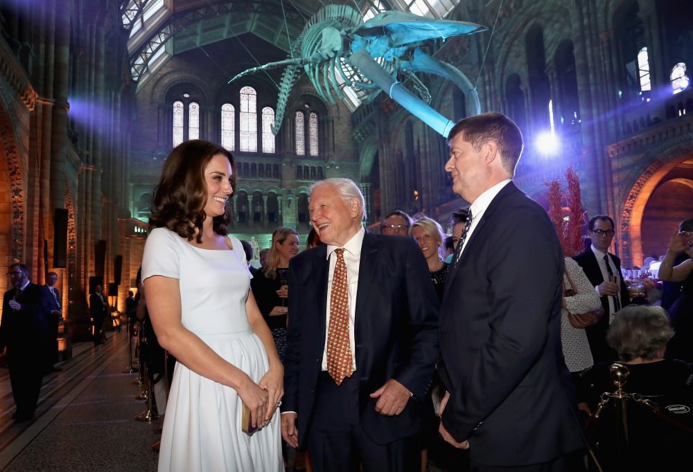 The Duchess of Cambridge, Patron of the Natural History Museum, attends the launch of the spectacularly transformed Hintze Hall, with Sir David Attenborough.  (NHM)