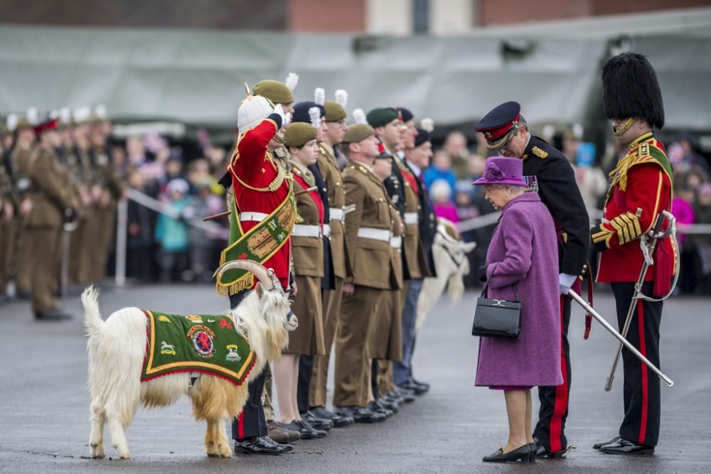 The Queen, Colonel-In-Chief of the Royal Welsh Regiment handed out leeks to the troops to mark St Davids Day (MoD)
