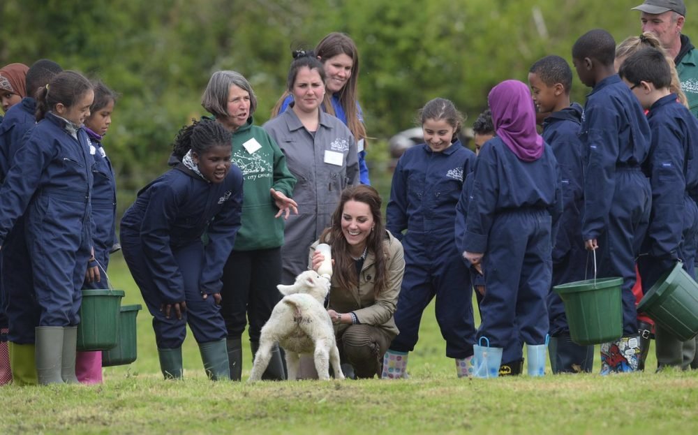 The Duchess of Cambridge helped feed Stinky the lamb at Wick Court farm today (Kensington Palace)
