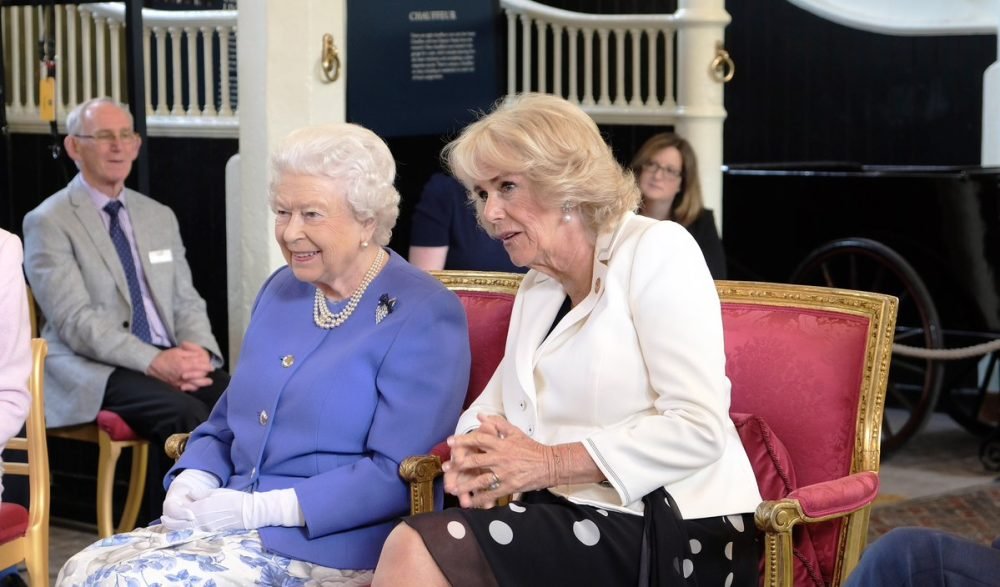 The Queen and Camilla watch the Medical Detection Dogs. Photo courtesy of Clarence House