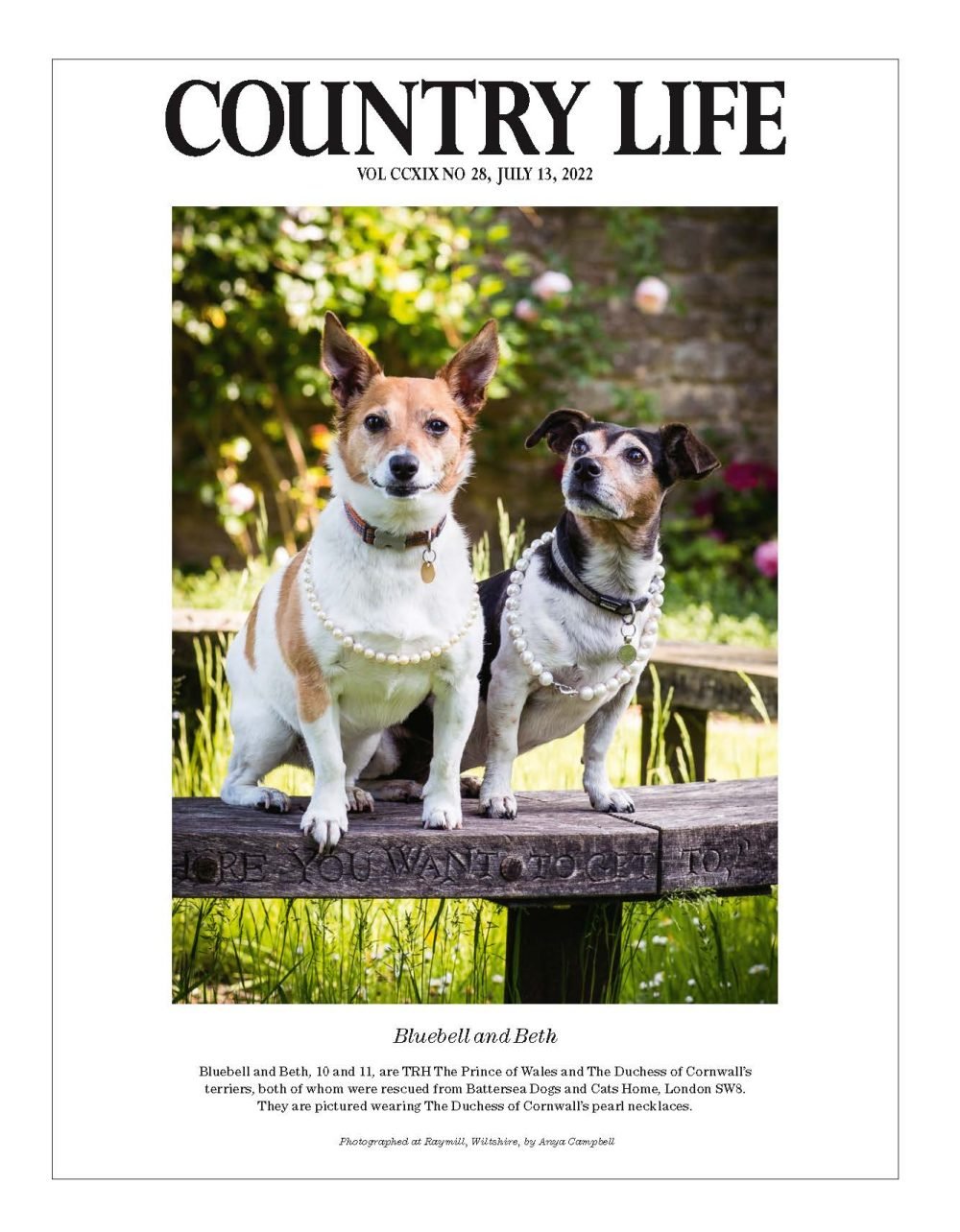 Camilla’s dogs Camilla's dogs are set to feature in her edition of Country Life. (Country Life).
