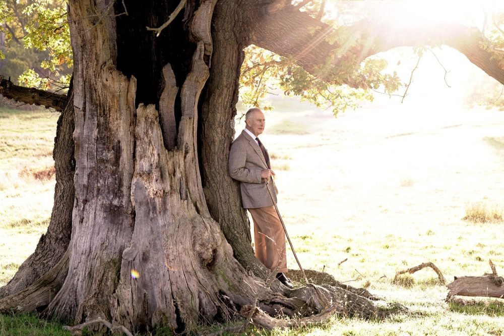 King Charles has been appointed Ranger of the Windsor Great Park on his 74th birthday. (Royal Family).