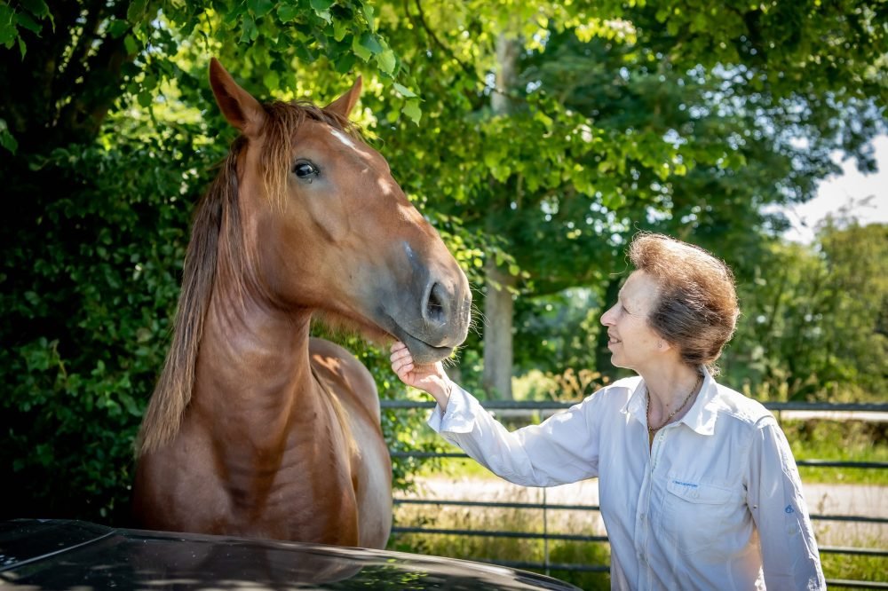 At Gatcombe Estate with Princess Anne, Suffolk Punch horse. Sarah Farnsworth / © Country Life Picture Library