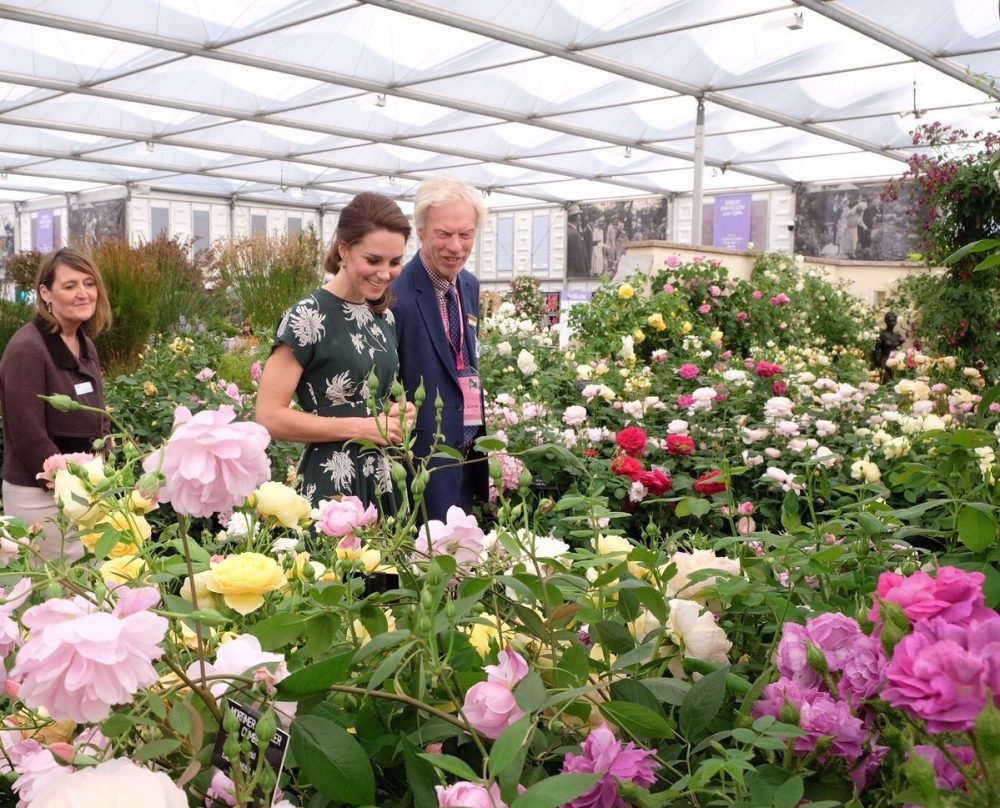 Kate, Duchess of Cambridge takes in the floral displays of the Chelsea Flower Show (Kensington Palace)