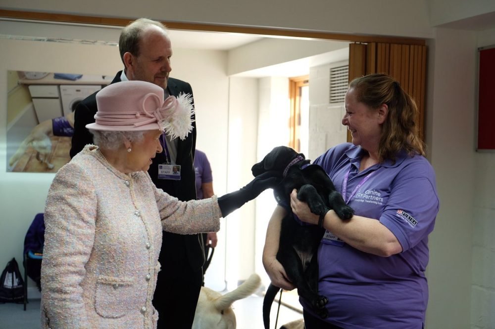flint, a 14-week-old puppy was thrilled to meet the queen as she visited canine partners (royal family)