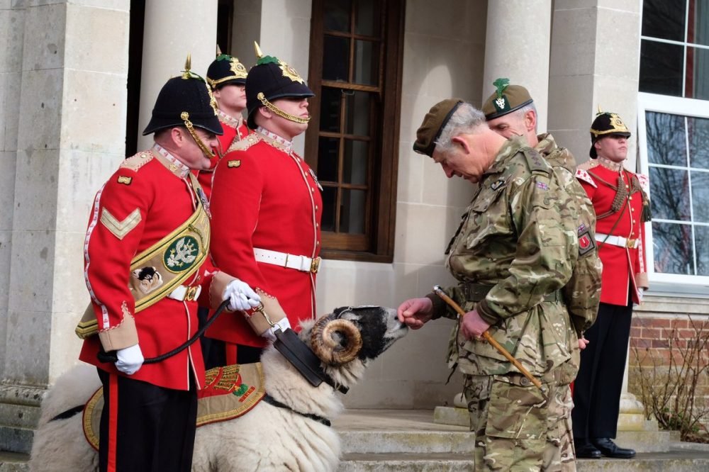 prince charles is greeted by private derby the ram as he visits the mercian regiment (clarence house)