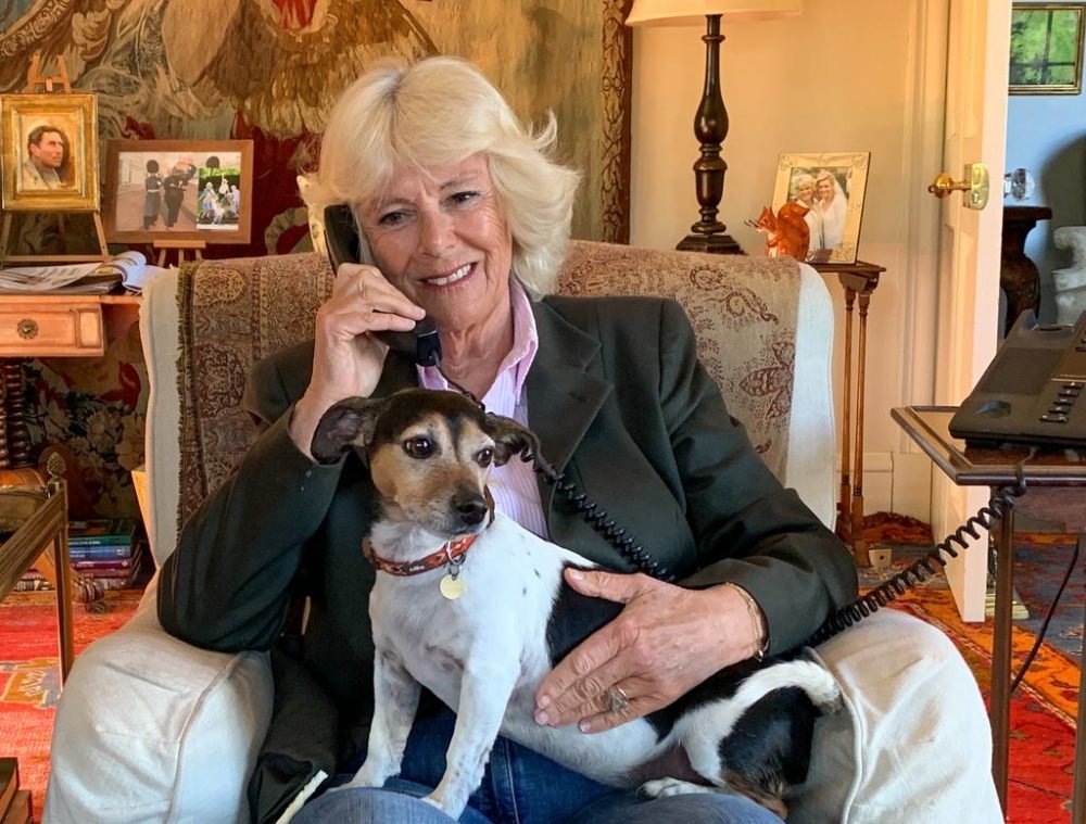 The Duchess of Cornwall catches up with Silver Line user Betty via a call from Birkhall (Clarence House)
