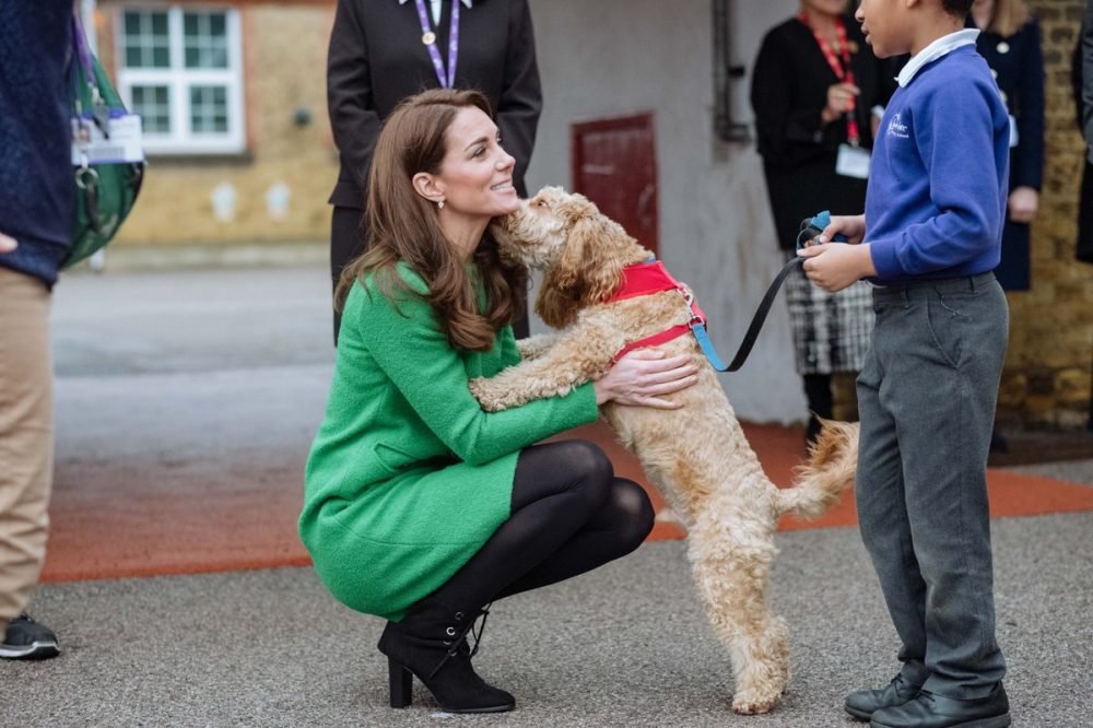 the duchess of cambridge meets herbie at lavender primary school (kensington palace)
