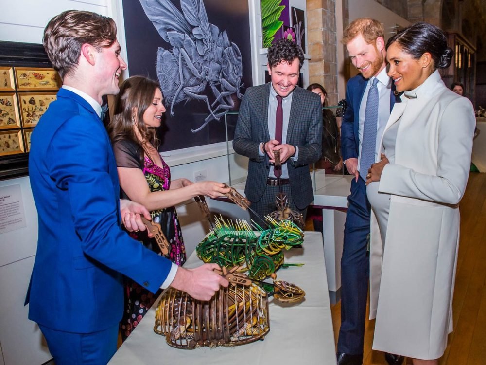 prince harry and meghan view some of the puppets from 'the wider world' (kensington palace)