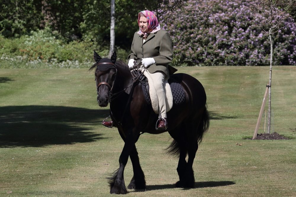 Her Majesty invited a photographer to Windsor to see her riding in May 2020. PA/Buckingham Palace