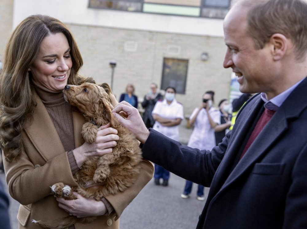 The Duchess of Cambridge holds puppy Alfie, a new therapy dog for the hospital (@KensingtonRoyal/Twitter)