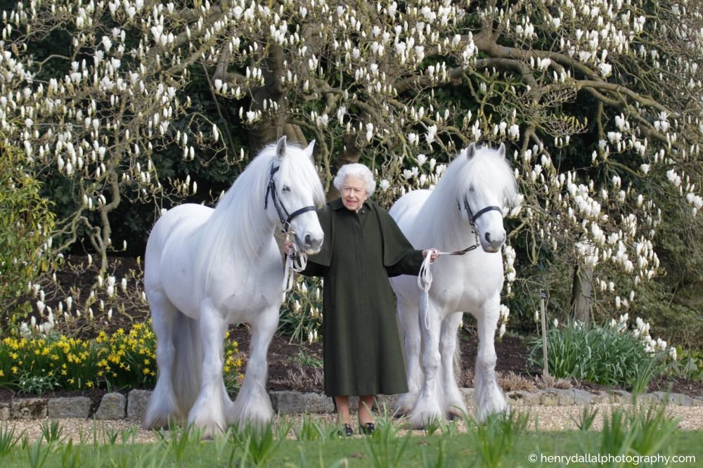 A new photo of The Queen with Fell ponies to mark her 96th birthday
