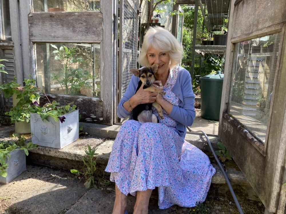 Queen Camilla's new dog - Moley. (Royal Family)