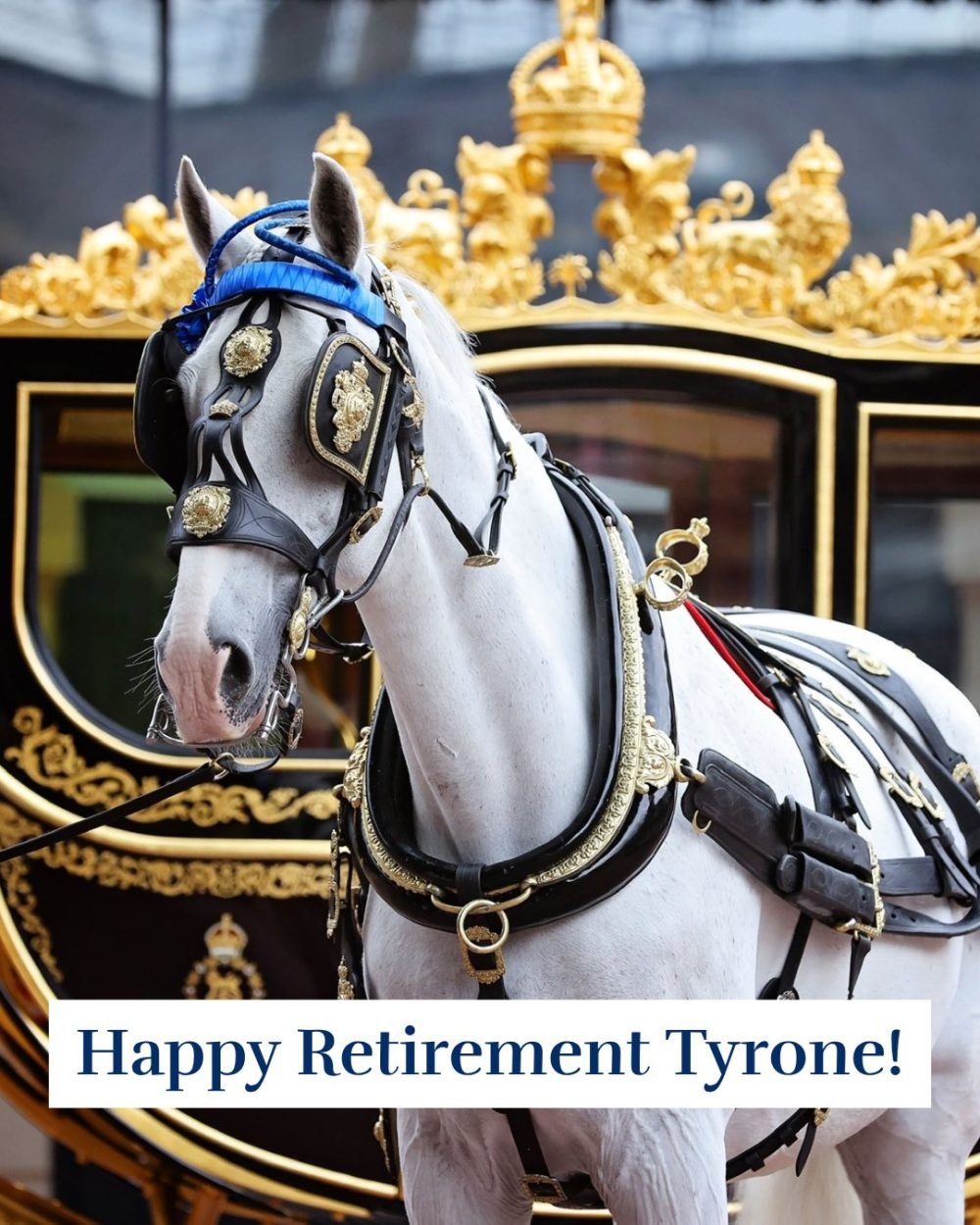 Buckingham Palace shared a new photograph of Tyrone on their social media pages. (Royal Family)