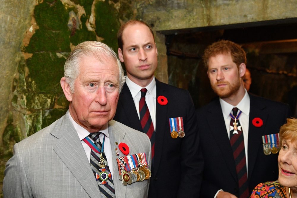 The Prince of Wales, The Duke of Cambridge and Duke of Sussex will attend a rare joint engagement at the natural history museum for conservation efforts. Picture by POOL  / i-Images