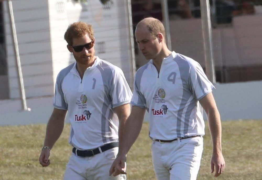 Prince William and Prince Harry play polo on the second day of the Audi Polo Challenge at Coworth Park, Ascot in 2017. (Picture by Stephen Lock / i-Images)