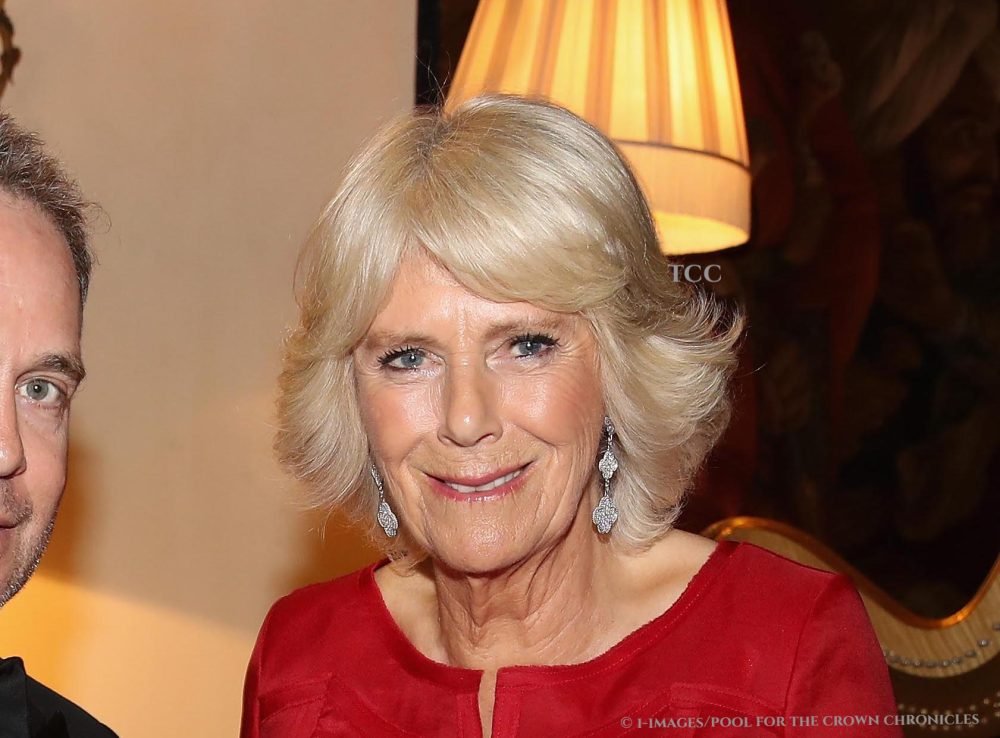 Image ©Licensed to i-Images Picture Agency. 18/05/2017. London, United Kingdom. Duchess of Cornwall Hosts Dinner For The London Library. 

Camilla, Duchess of Cornwall, Patron of the London Library, poses with actor Tom Hollander as she hosts a dinner and evening of readings in honour of the Library's President, Sir Tom Stoppard  at Clarence House on May 18, 2017 in London, England.

Picture by  i-Images / Pool
