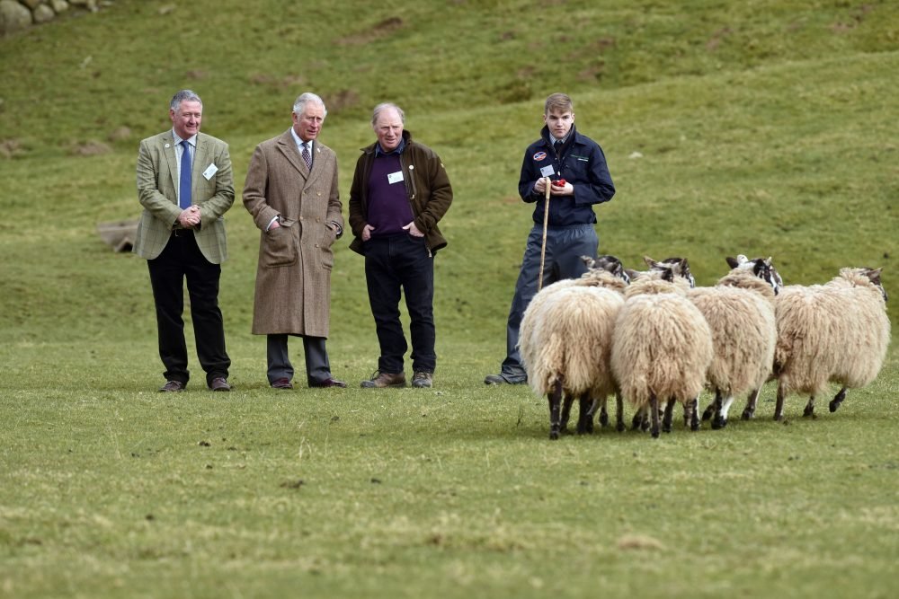 The King, when Prince of Wales,  - as patron of the Prince's Countryside Fund - saw sheep herding at the National Centre for the Uplands part of Newton Rigg College. Picture by Stuart Walker / i-Images