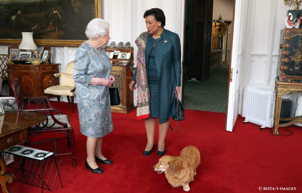 The Queen
receives the Commonwealth Secretary-General, Baroness Patricia Scotland, during an audience in the Oak Room at Windsor Castle, with one of the corgis