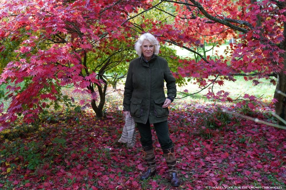 Camilla, The Duchess of Cornwall, during a visit to Westonbirt, the National Arboretum, in Gloucestershire