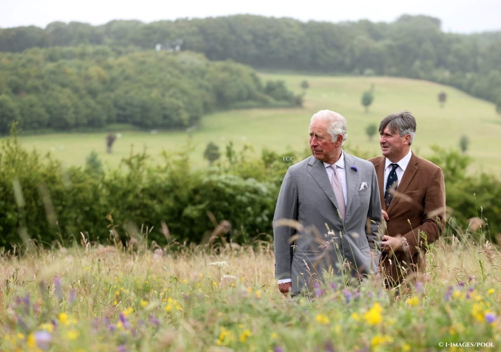 Prince Charles, Prince of Wales, has long been a climate campaigner, and has written exclusively for the Daily Mail