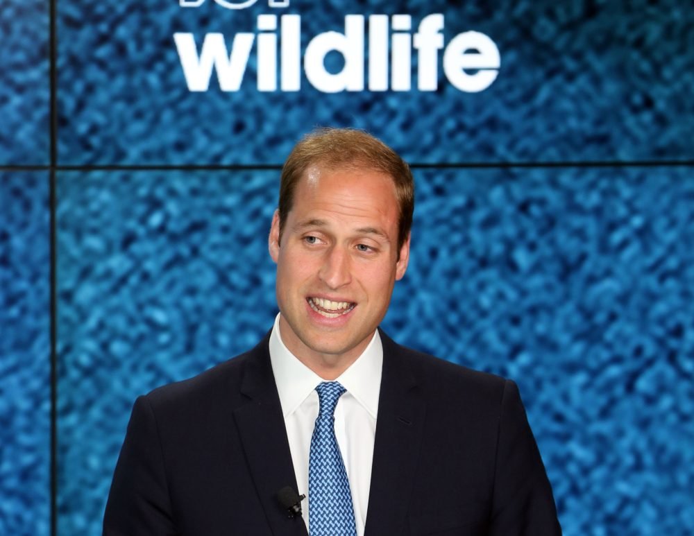 Picture by Stephen Lock / i-Images