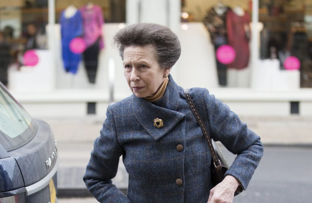 Princess Anne has lots to keep her occupied this week, including (i-Images)