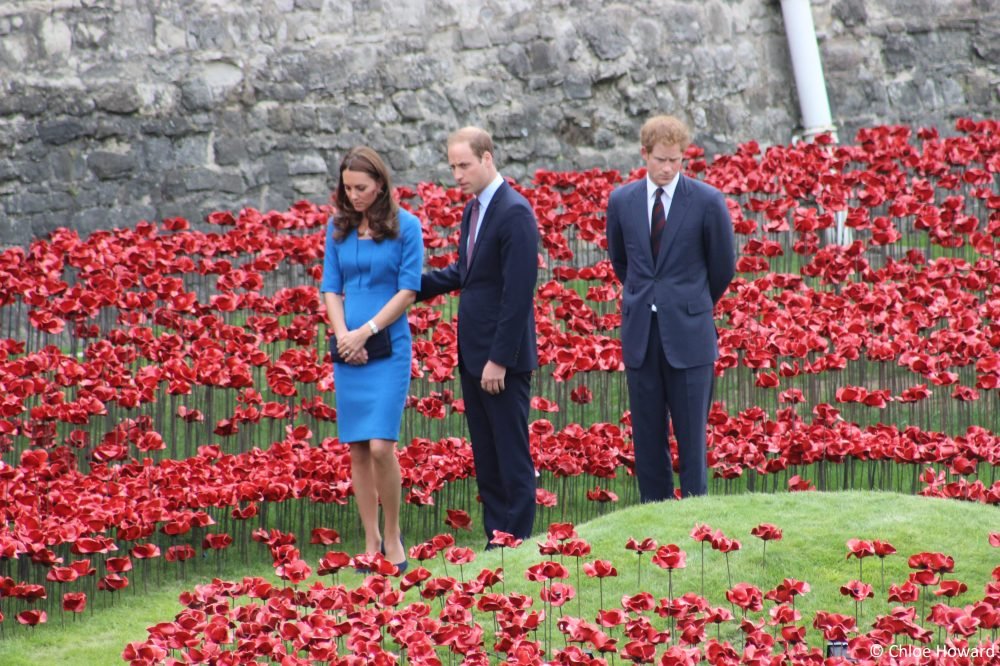 wkh © Victoria Howard 2014