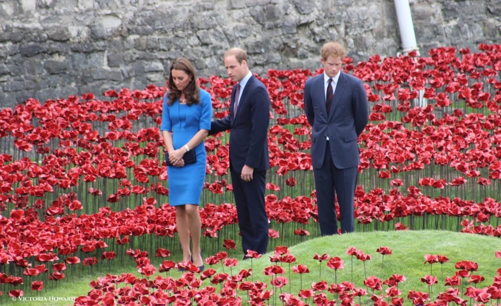 Prince William, Kate and Harry walked through the thousand of poppies at the Tower of London