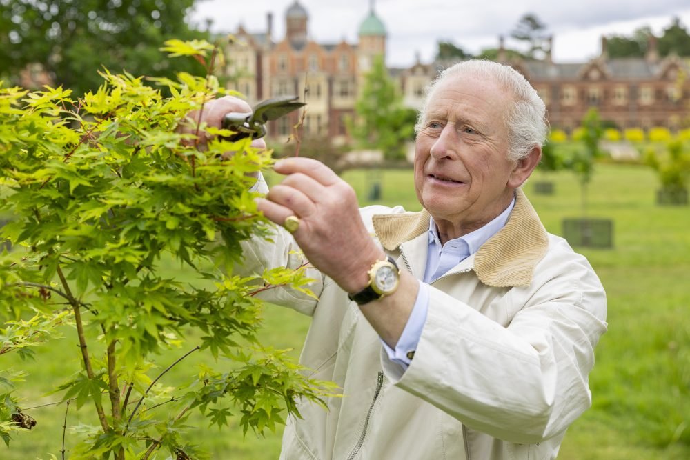 His Majesty King Charles III in the garden at Sandringham, photographed by Millie Pilkington