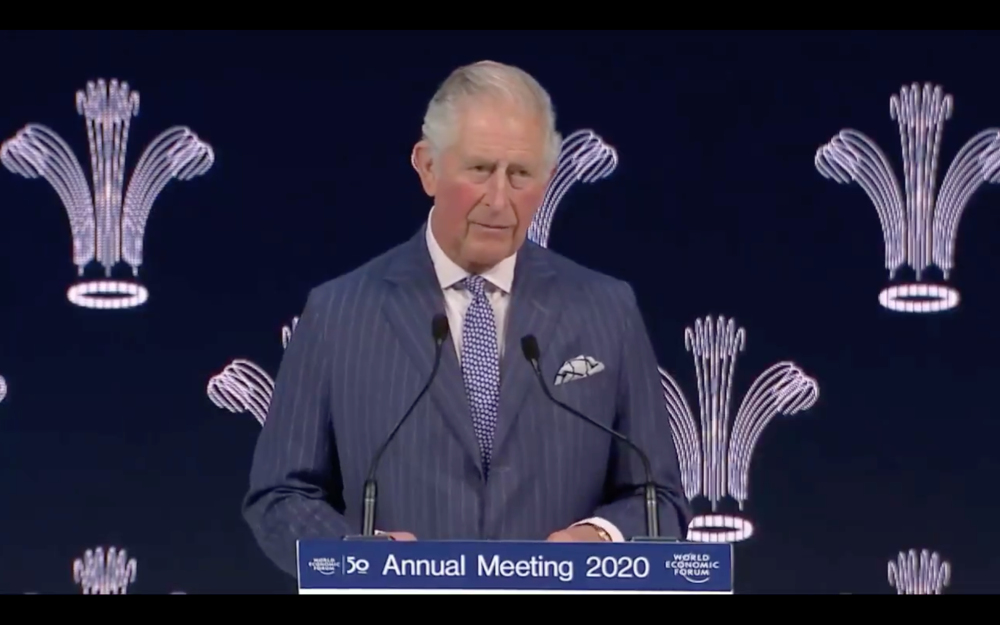 Prince Charles speaks about the climate at Davos (Still from WEF video)