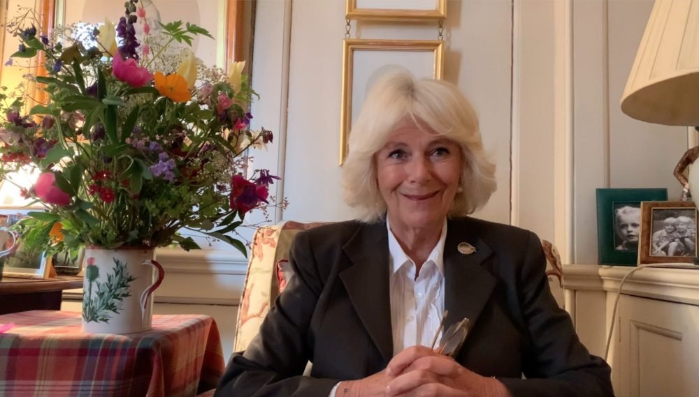 The Duchess of Cornwall wears the hedgehod brooch from Van Cleef & Aprels  (Clarence House video still)