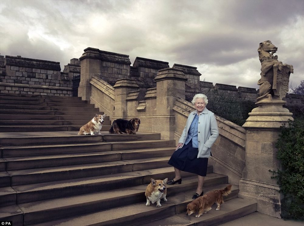 The corgis join The Queen in an official birthday photo (annie liebowitz)