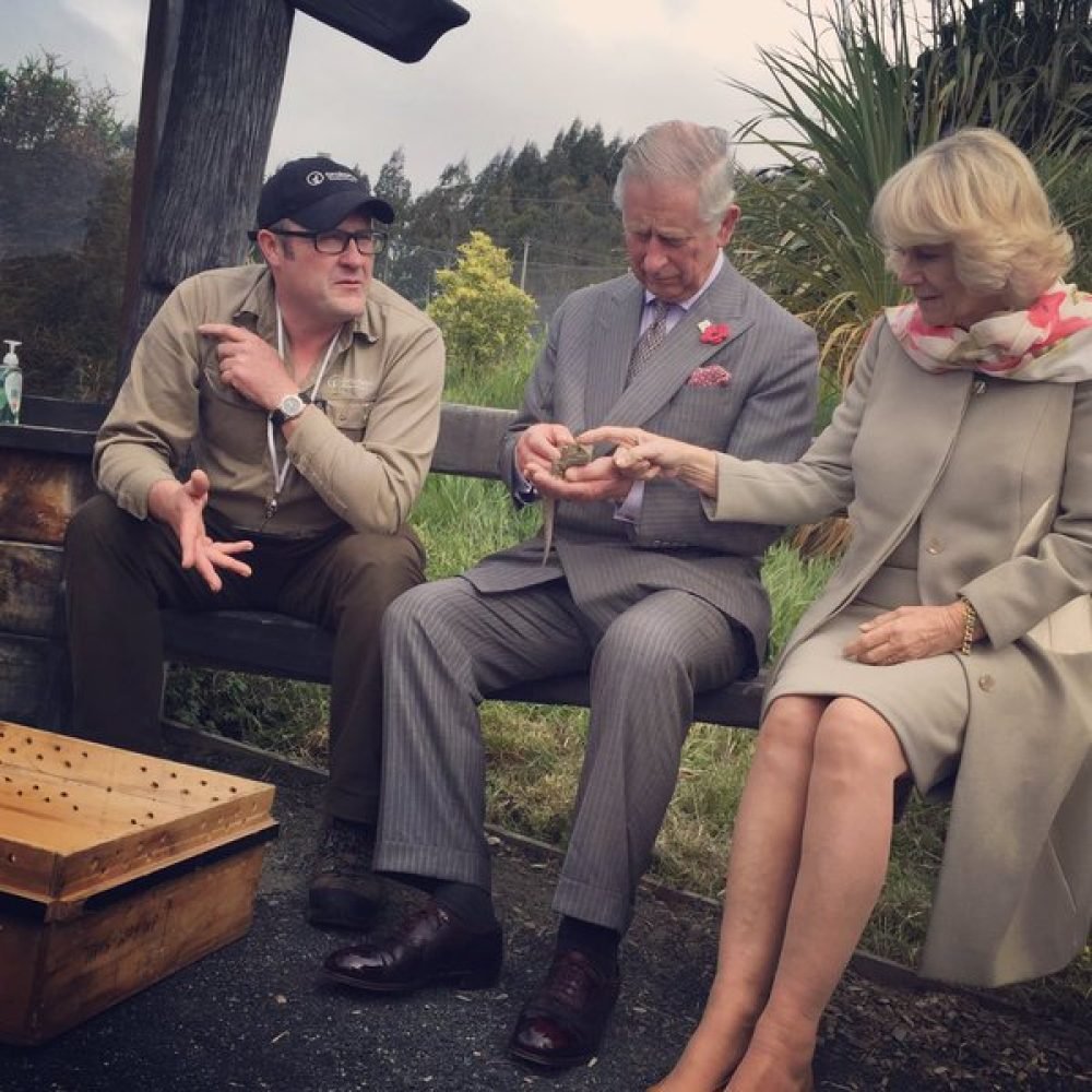 Charles and Camilla with a tuatara via @GovGenerealNZ
