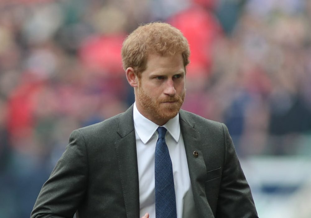 prince Harry, duke of sussex will focus on veteran mental health (Mitch Gunn / Shutterstock)